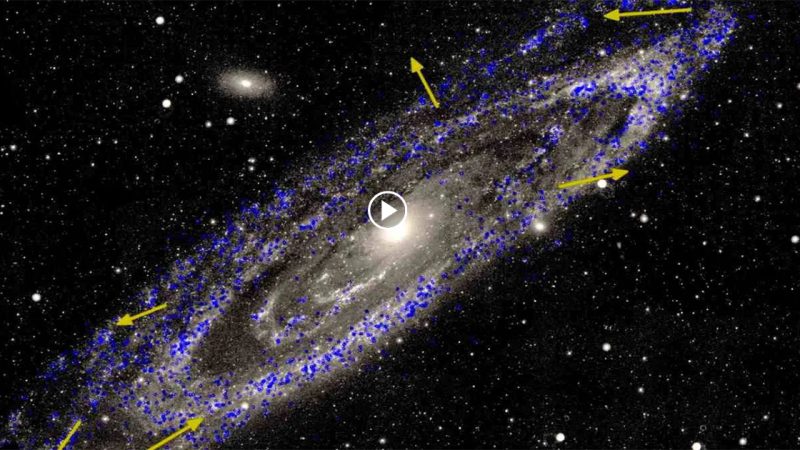 Andromeda Galaxy Our Closest Galactic Neighbor Revealed