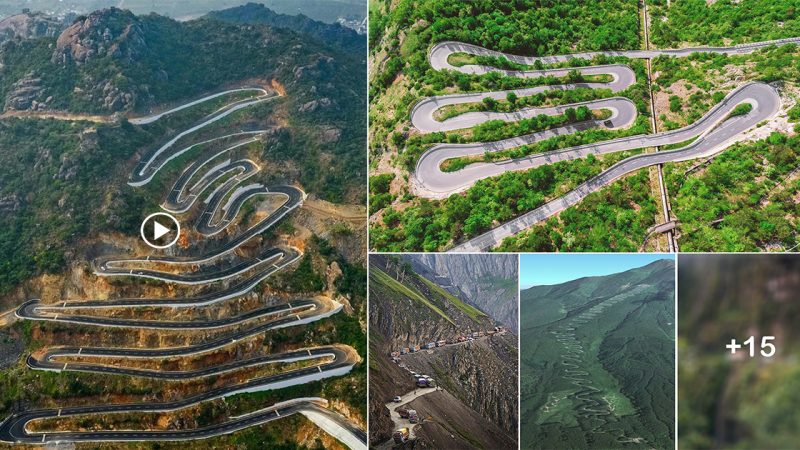 The Most Dangerous Roads on the Planet