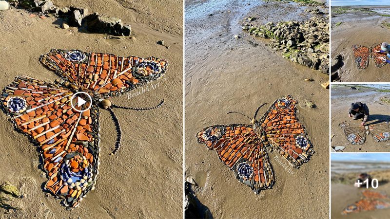 National Butterfly Day, a father and son weave pebbles into butterflies on Skern Beach.