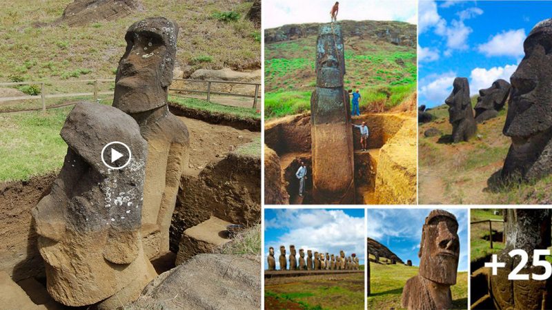 The Well-Known Easter Island Head Statues Had Bodies