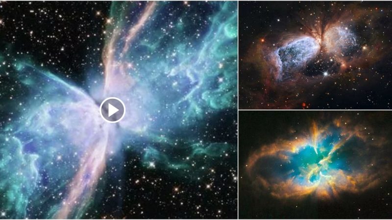 NASA News: The Deceptive Beauty of the Butterfly Nebula Reveals the Fierceness of the Universe.