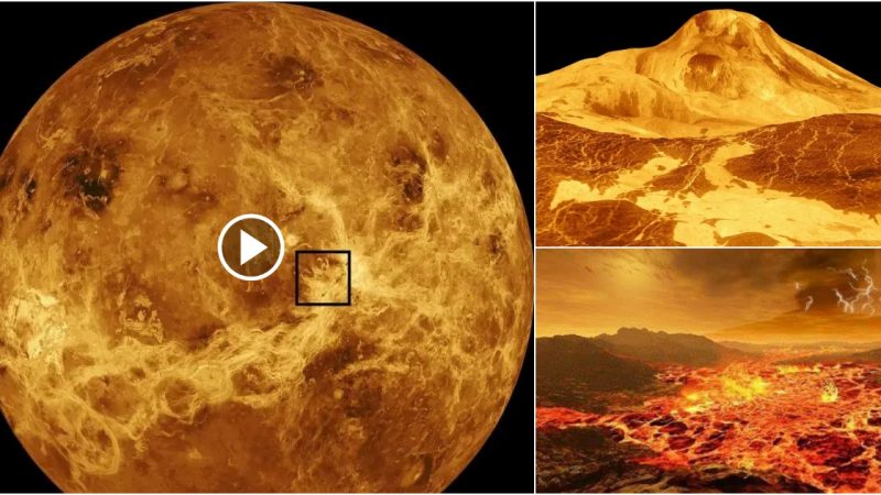 Volcanic Fury: N.A.S.A’s Magellan Data Reveals Venus’ Explosive Secret.