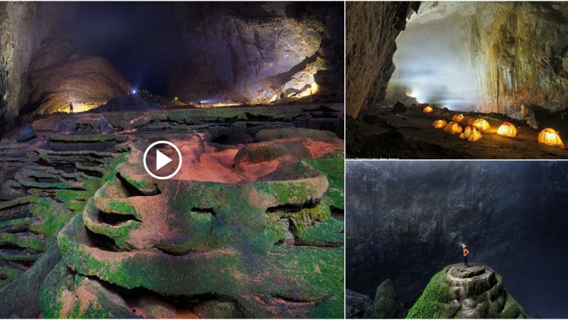 The largest cave in Vietnam has a mild climate and beautiful clouds.