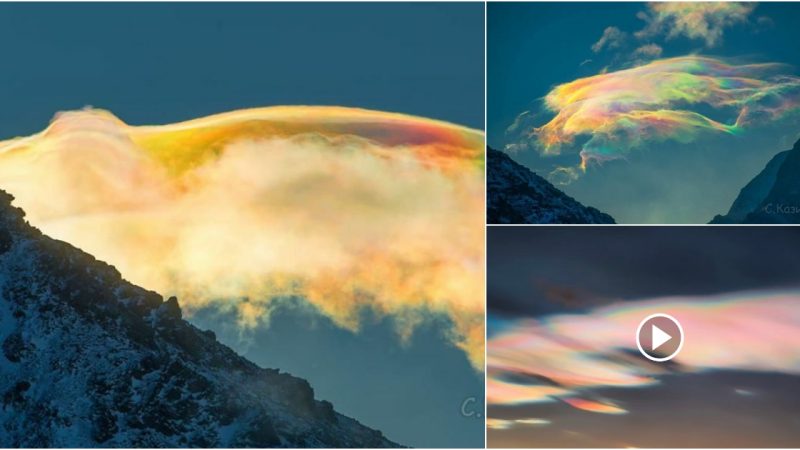 Decoding the Mysteries of Siberia’s Colorful Clouds.