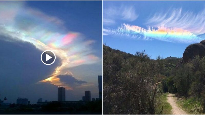 Spectacular “Fire Rainbows” Light Up the Sky in the United States