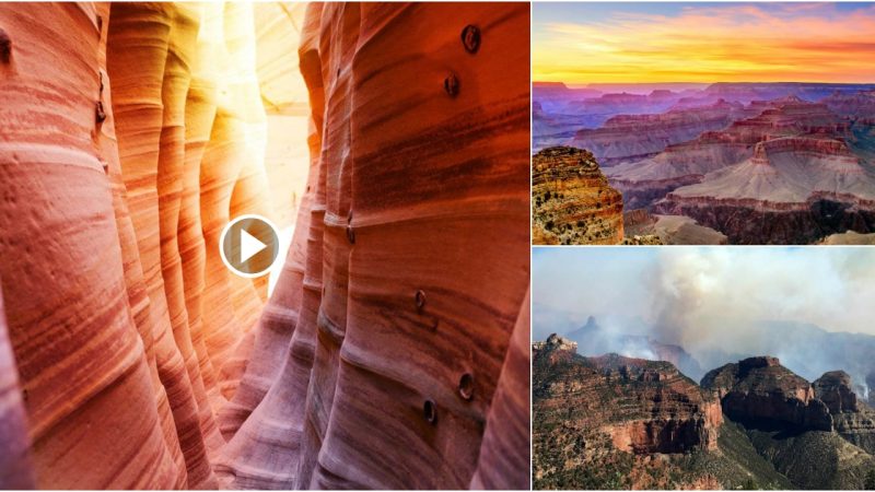 13 Things You Didn’t Know About Grand Canyon National Park.