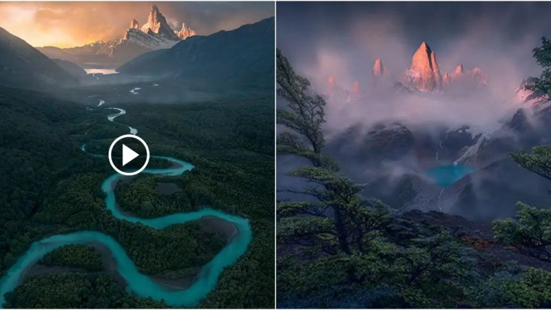 Immerse yourself in the beautiful landscapes shot by the International Landscape Photographer of the Year competition.