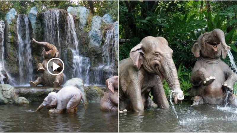 Under the Big Waterfall, the Little Elephant Plays