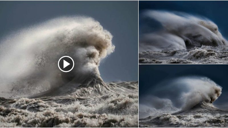 A Face in the Waves: Nature Photographer Captures Incredible Image of Crashing Wave.