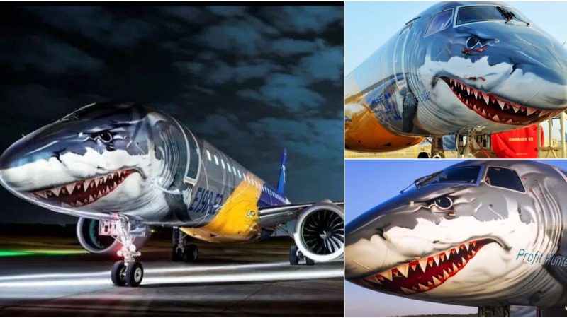 Embraer E-190-E2: A Stunning Showcase of Flight’s Artistic Innovation