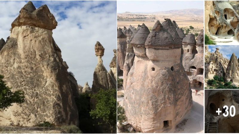 Cappadocia, the central highland region of Anatolia, is likened to the brightest star of Turkey.